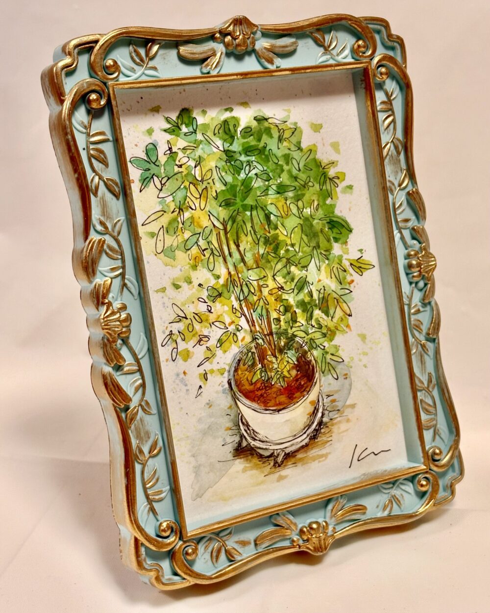 【編集中】観葉植物