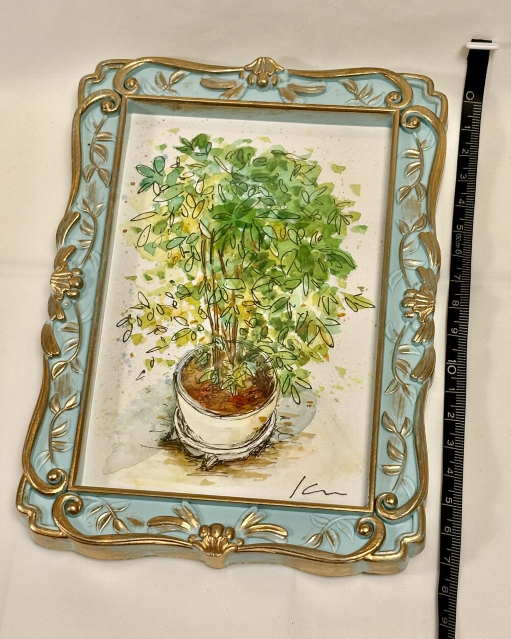 【編集中】観葉植物
