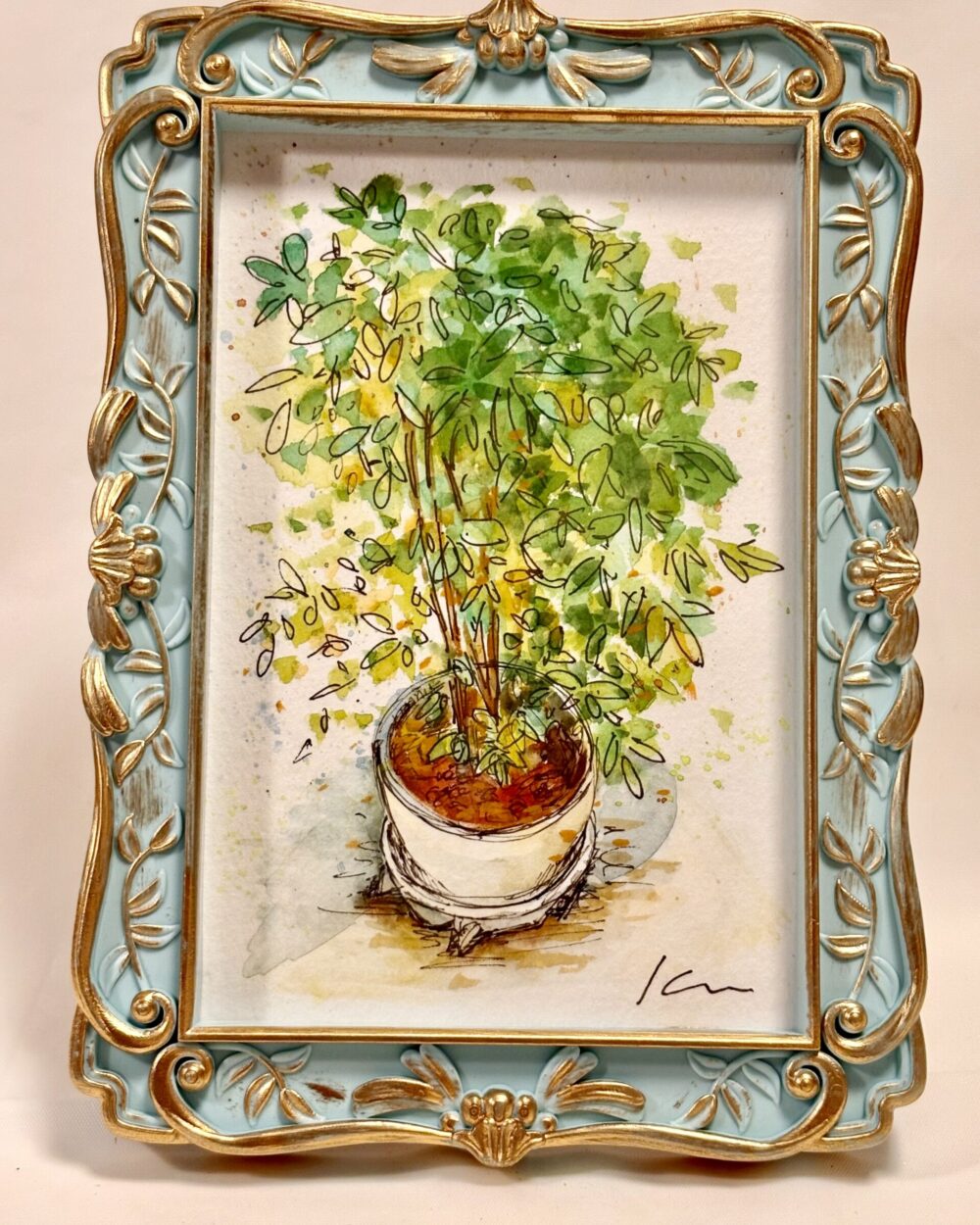【編集中】観葉植物