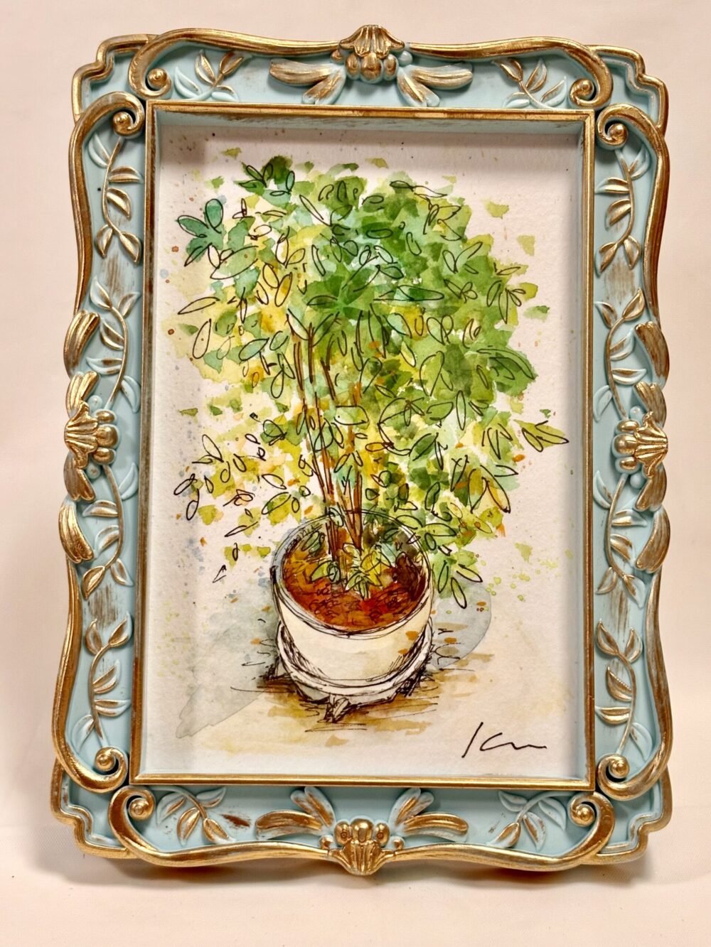 【編集中】観葉植物